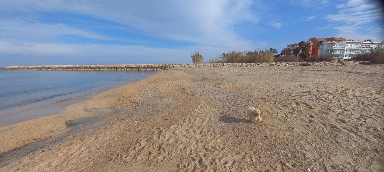 Beach View - Primera Linea Lujo دينايا المظهر الخارجي الصورة